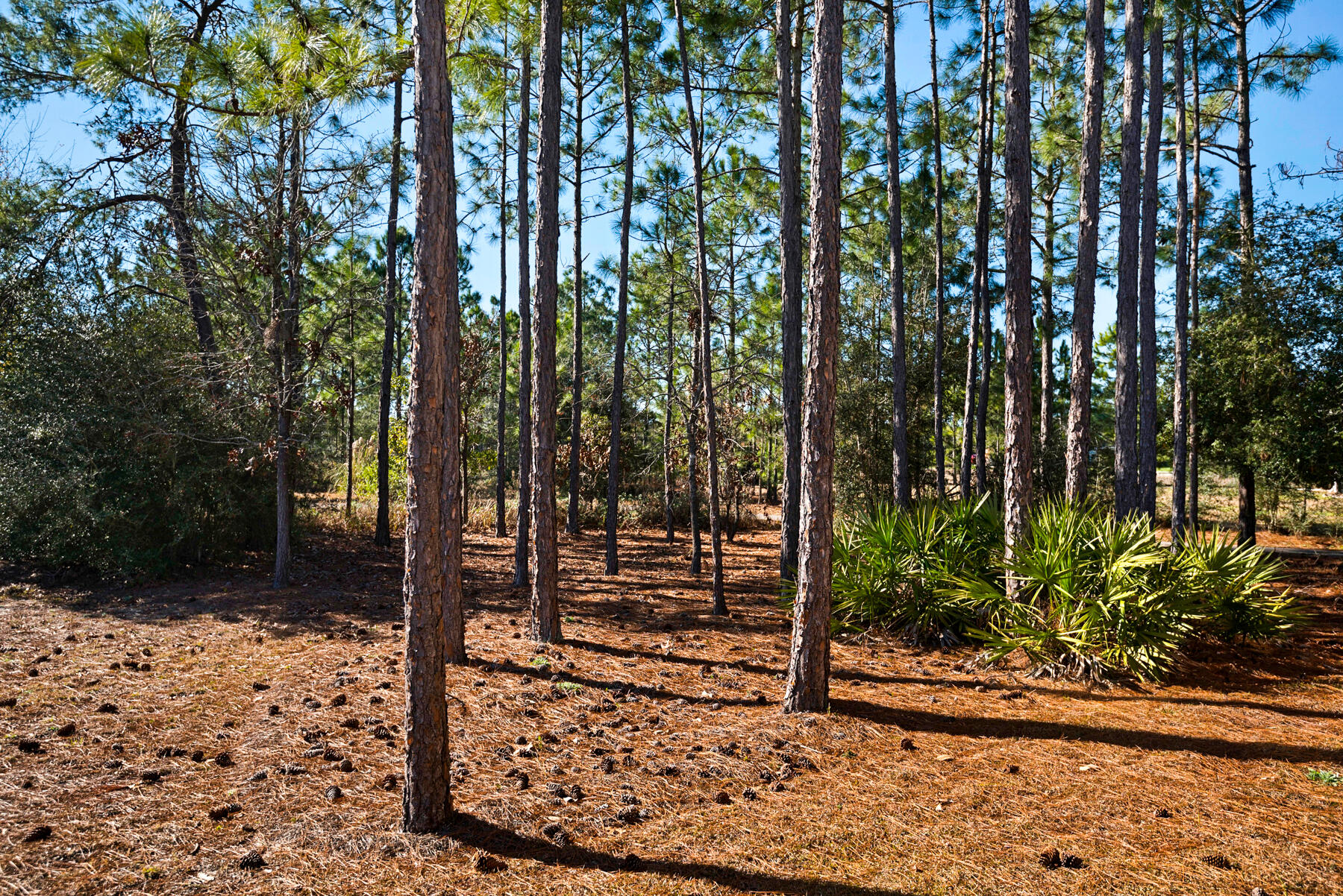 WINDSWEPT ESTATES - Residential