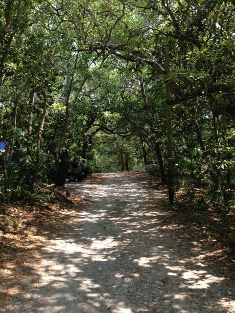 SEAGROVE 3RD ADDN - Land