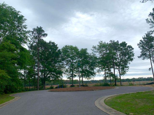 LOT 32 WHISPERS AT HAMMOCK BAY - Land