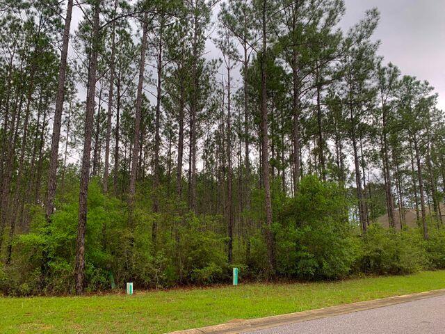 LOT 32 WHISPERS AT HAMMOCK BAY - Land