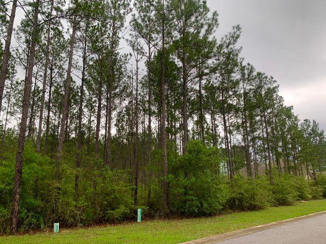 LOT 32 WHISPERS AT HAMMOCK BAY - Land