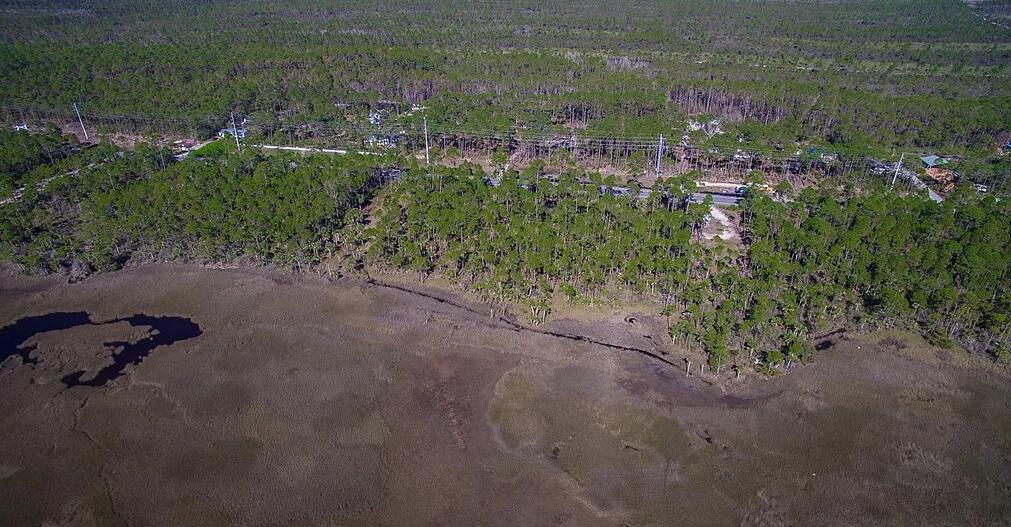 Imagine ending each day with wide-open views of St. Joseph Bay and some of the most unforgettable sunsets on the coast. This rare lot is just over half an acre and offers nearly 100 feet of frontage along SR 30A, providing a unique and exciting opportunity to create the coastal retreat you've always been dreaming of. With thousands of acres of protected St. Joseph Bay Buffer Preserve at the back, you'll enjoy a completely private setting with nothing but nature as your neighbor. Perfectly located between Cape San Blas and Port St. Joe, you'll have easy access to beaches, local shops, dining, and endless opportunities for fishing, boating, and exploring the Gulf. RV-friendly, ideal for both immediate enjoyment and long-term plans. Buyer to verify all important information.