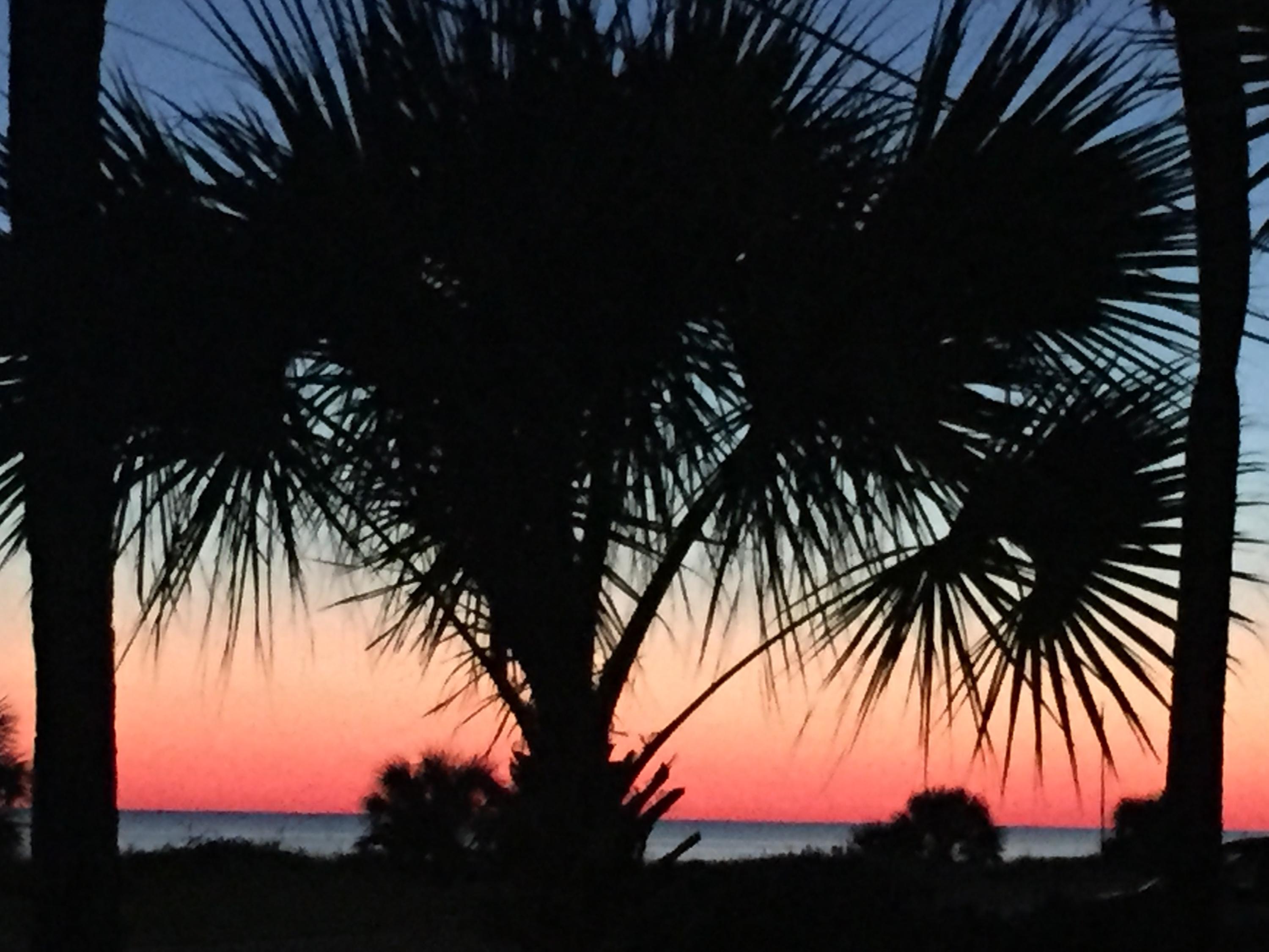 LAGUNA BEACH - Residential