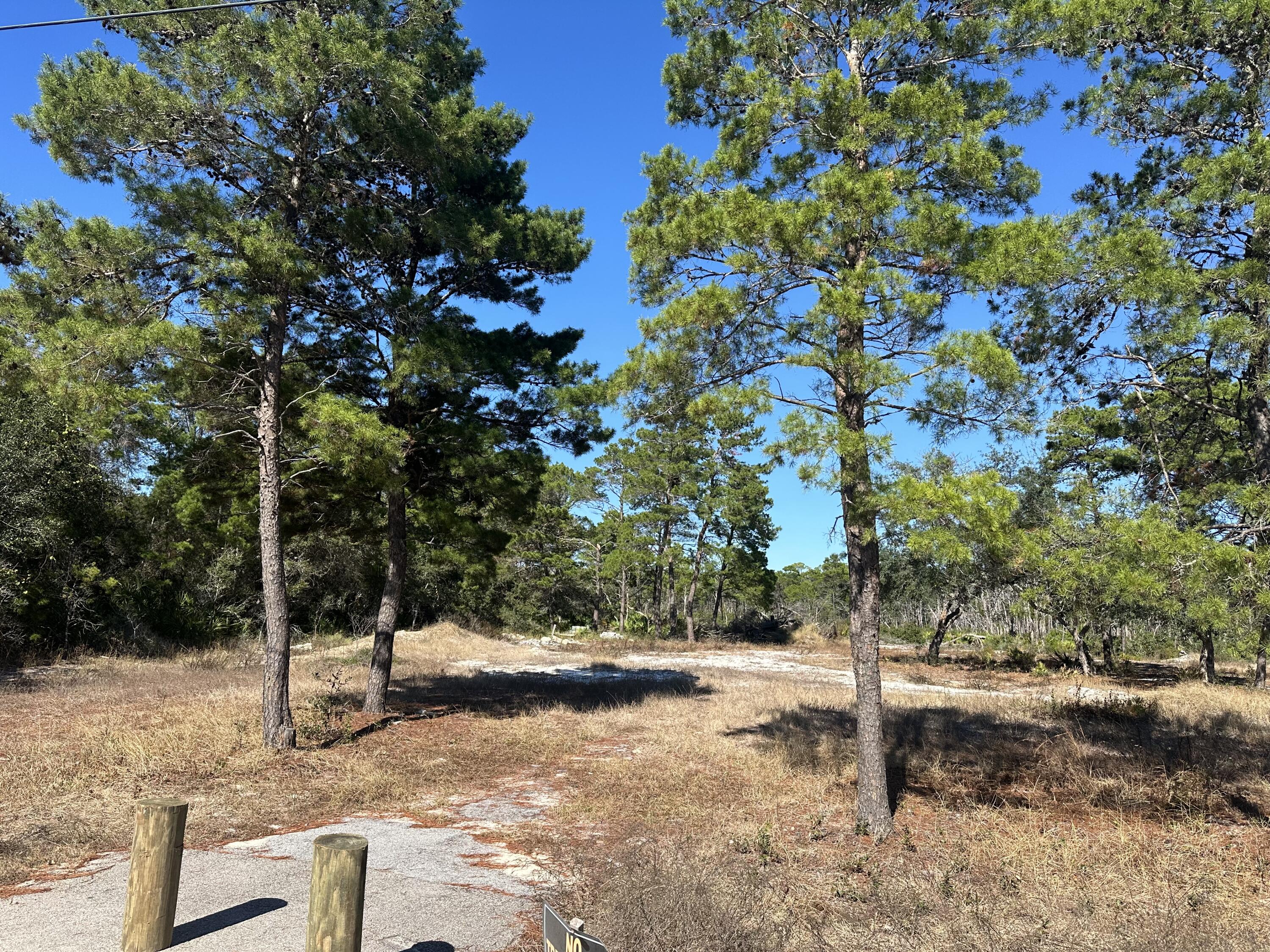 A rare find!'This quarter acre homesite delivers big on spacious and private surroundings with Point Washington State Forest at your backdoor and the beach only a short five minute walk or quickly accessed by bike or golf cart. This unusually large property (198 ft X 55 ft) can easily accommodate a main house with a guest house and pool while still maintaining a sense of privacy. ''Another big plus: NO HOA, so plenty of room for your RV, boat, or other toys''. The only neighbor to the north will be deer and other native wildlife for miles. The lot is high and dry, with no wetlands, and has already been cleared for your new dream beach home! Nature lovers won't have to venture far to explore one of the areas rare gems, Eastern Lake, a coastal dune lake. Homes in Seagrove Beach have preserved a sense of genuine Old Florida-style! If you're.. a custom home that offers privacy, proximity to the beach, and convenient access to restaurants and other fun things to do on Scenic 30A, this is the spot for you!"
**Buyer is responsible for personally verifying details about this property. Any information contained****