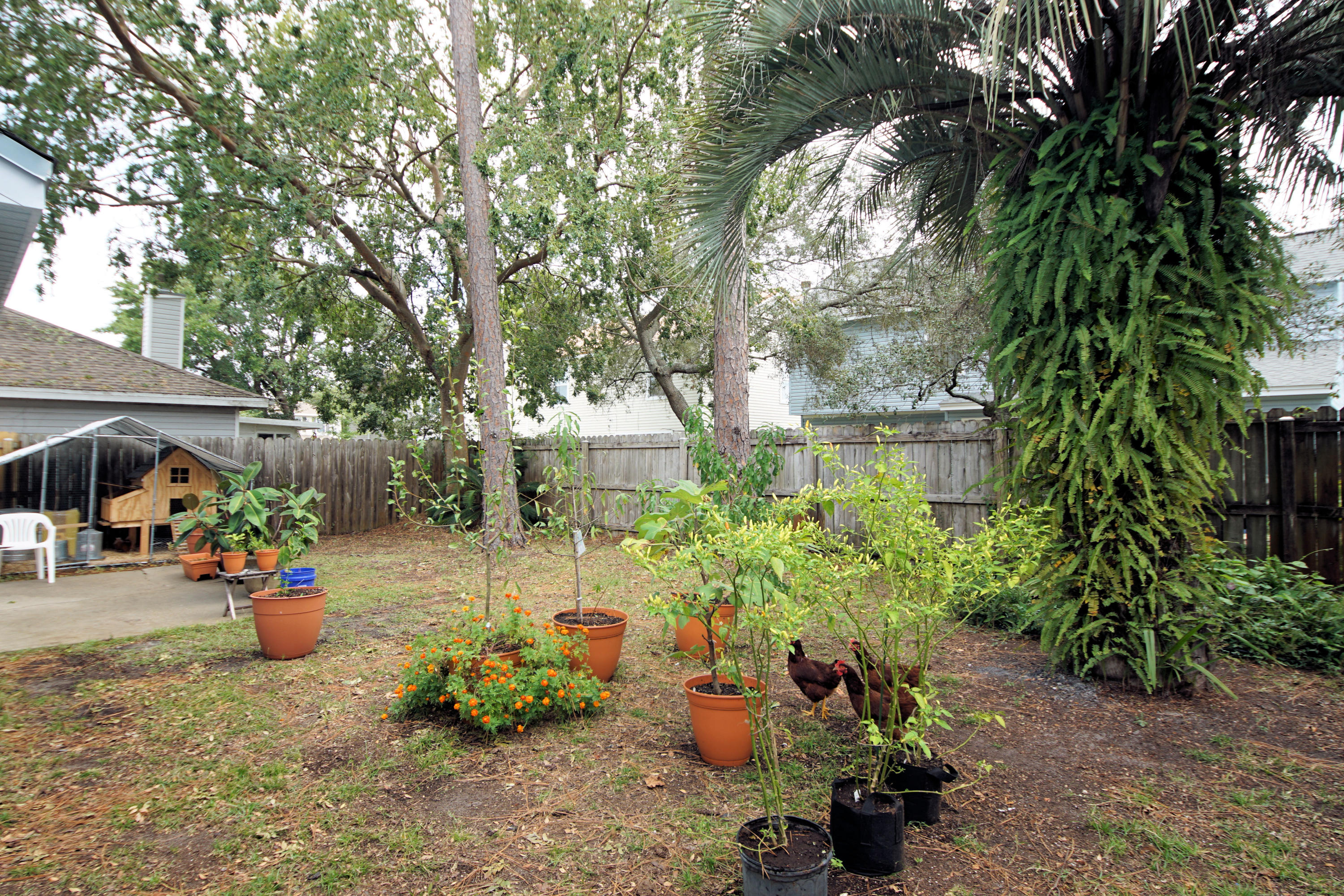 SHALIMAR WOODS S/D - Residential