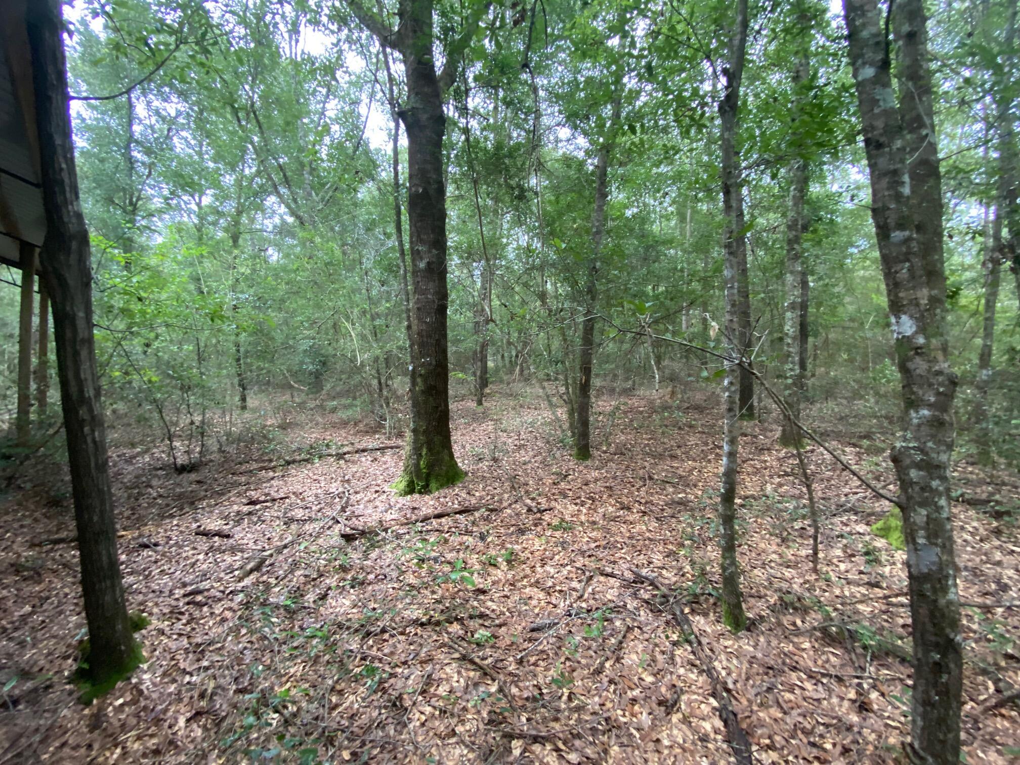 HOLLEY FAMILY PH 2 - Land