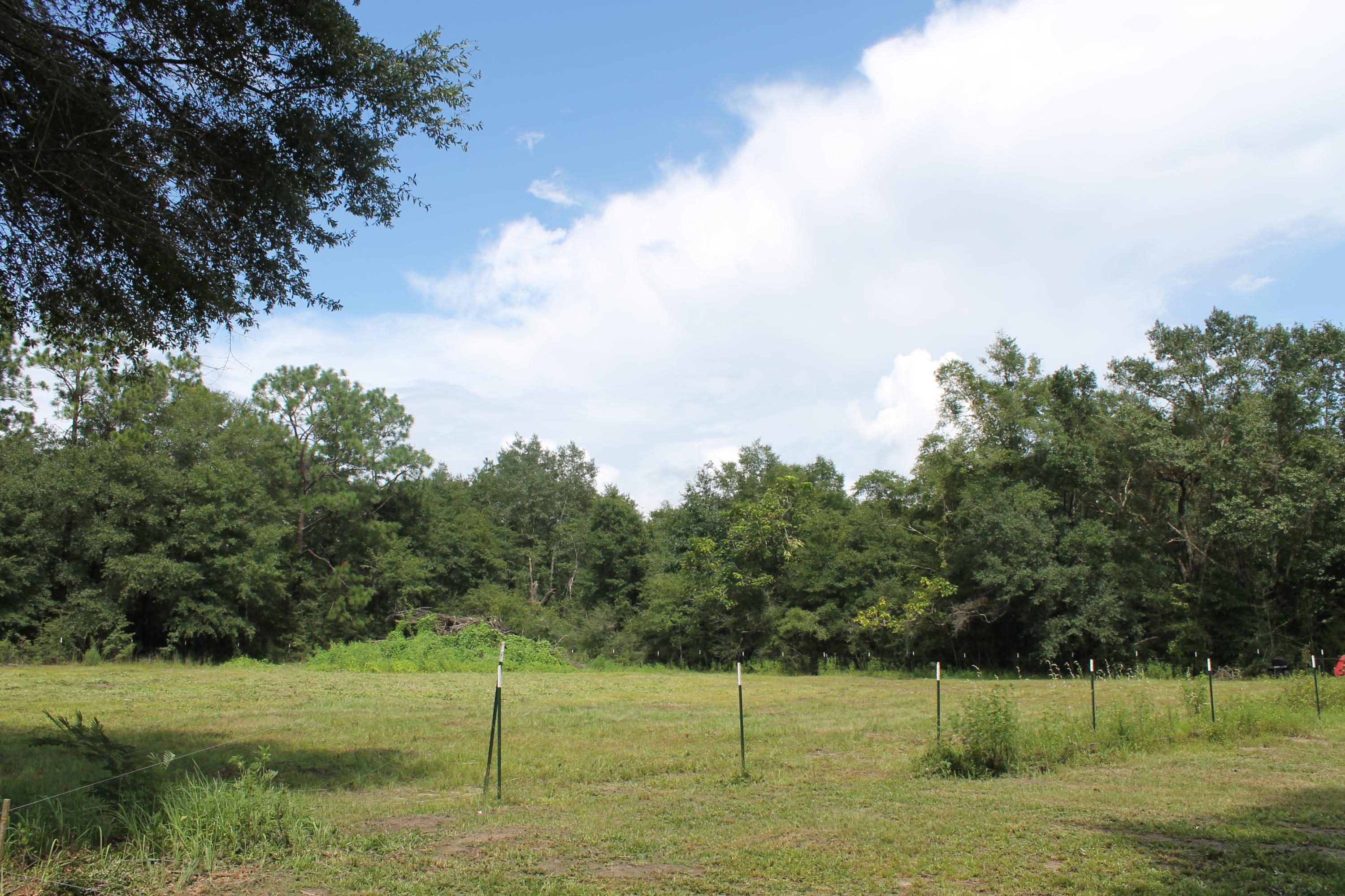 Springs Lakes - Residential