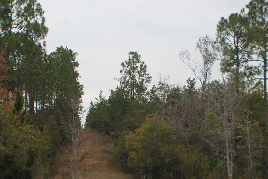 Great property for hunting. Adjoins the Walton County landfill. There is landlocked with no deeded road access.