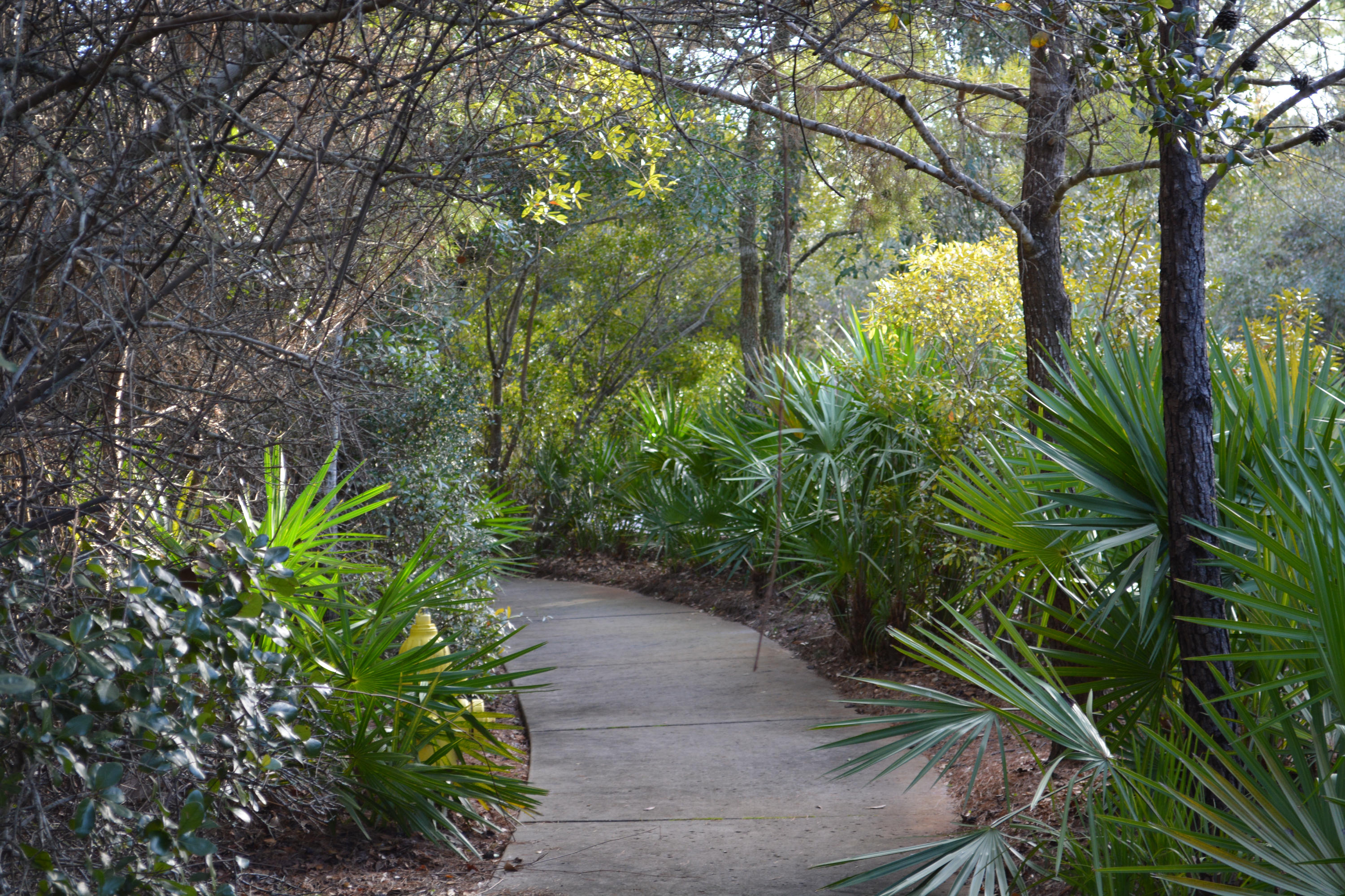 LAKEPLACE AT GRAYTON BEACH T/H - Residential