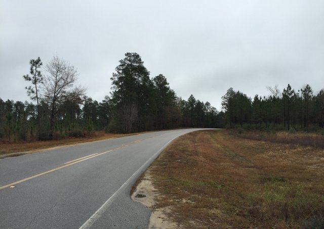 ESCAMBIA FARMS - Land