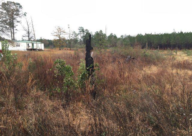 ESCAMBIA FARMS - Land