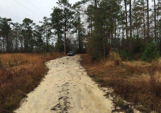 ESCAMBIA FARMS - Land