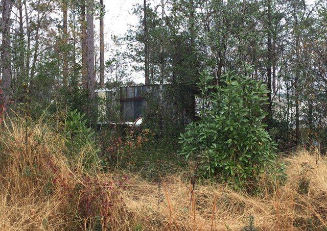 ESCAMBIA FARMS - Land