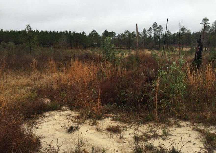 REO ~ Awesome Opportunity...! This one acre lot off of Red Barrow Rd offers plenty of room for building in a quiet country setting. Don't miss out!