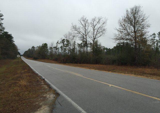 ESCAMBIA FARMS - Land