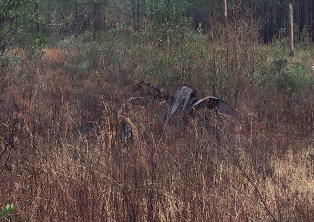 ESCAMBIA FARMS - Land