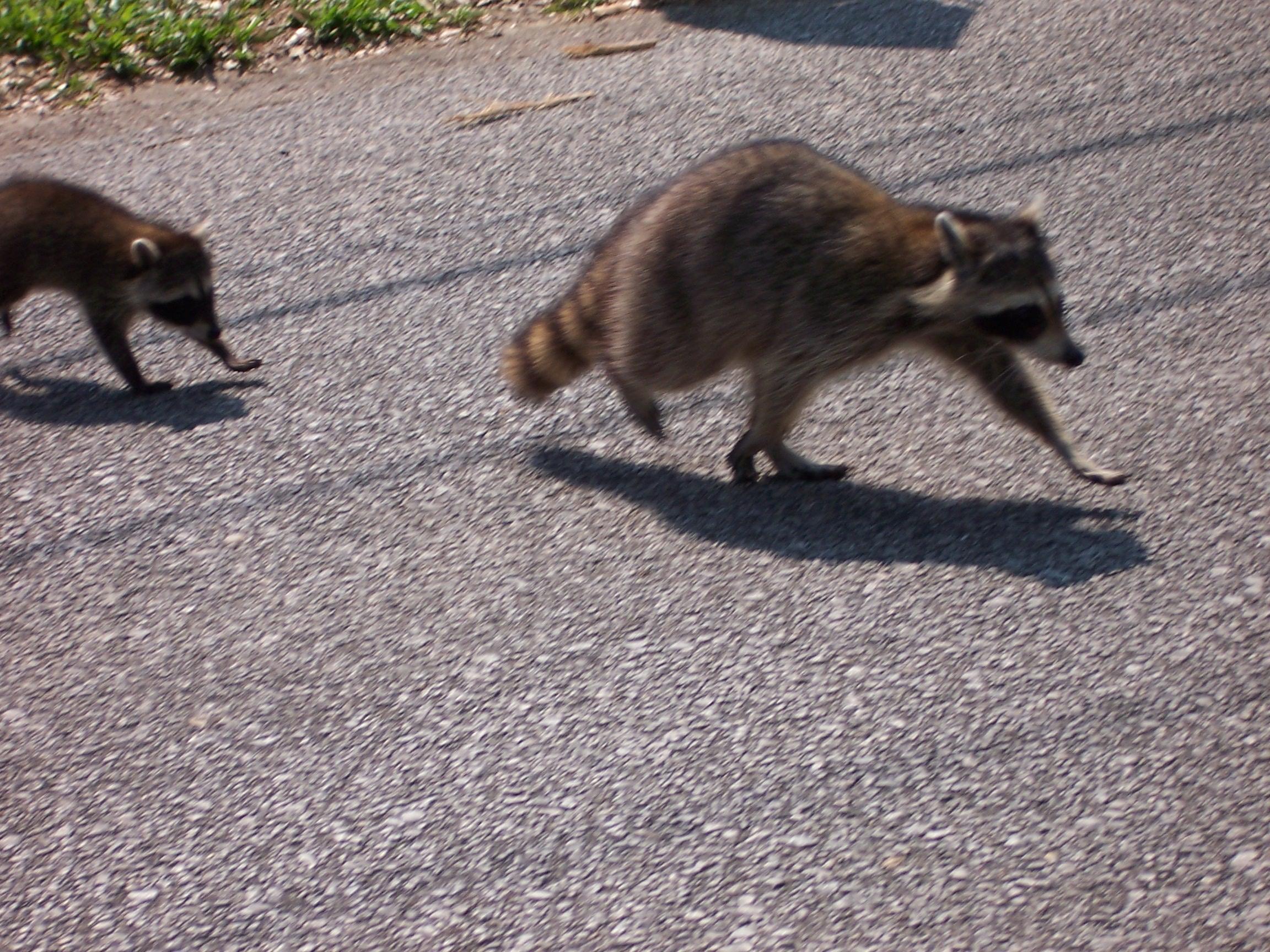 VALPARAISO PLAT 02 - Residential