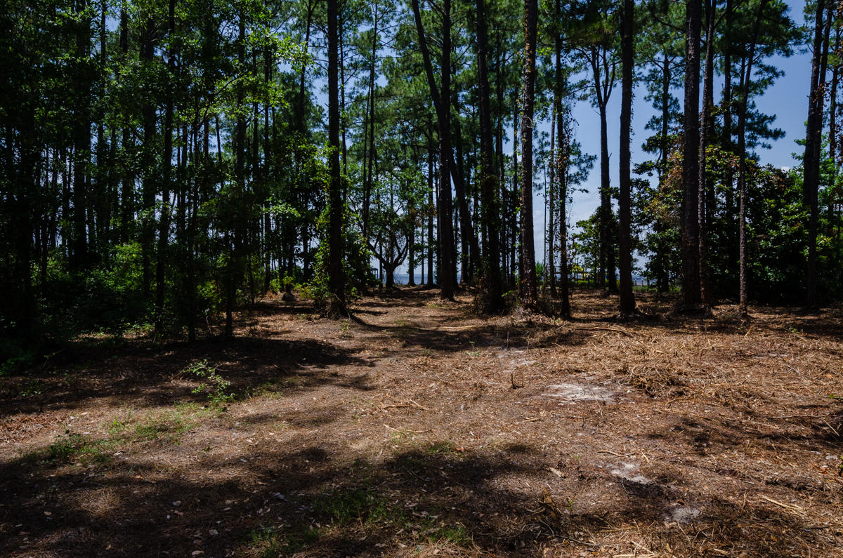 DRIFTWOOD ESTATES - Land