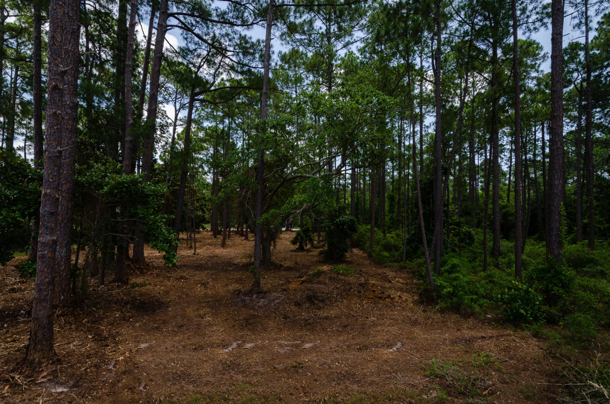 DRIFTWOOD ESTATES - Land