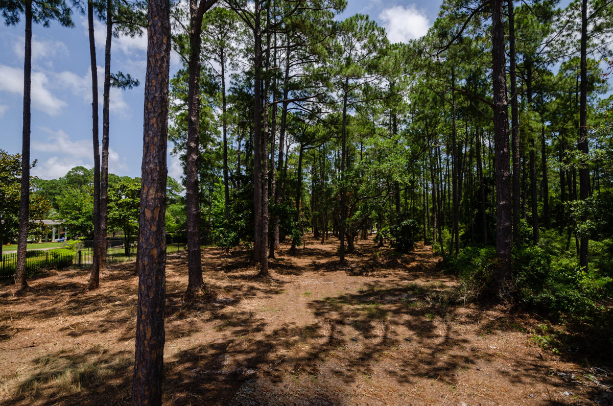 DRIFTWOOD ESTATES - Land