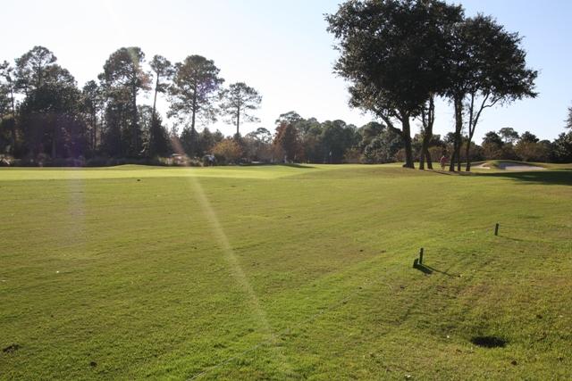 LAUREL GROVE - Residential