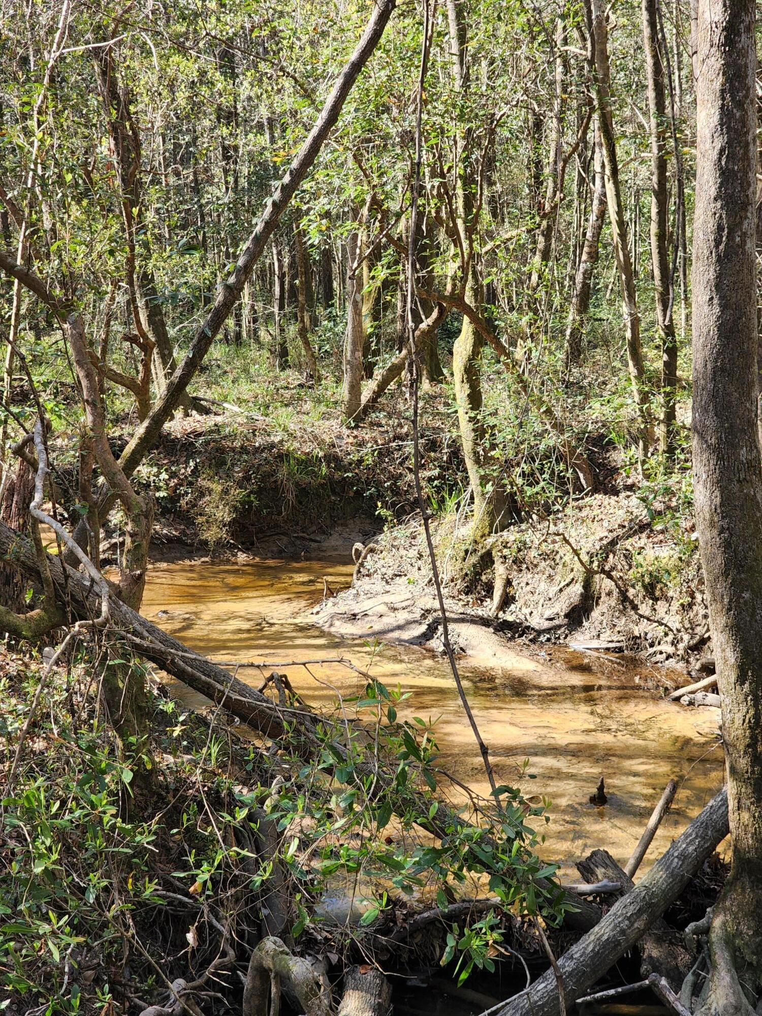 If you are looking for the perfect recreational piece of property, but do not want to be too far from town look no farther. This wooded 10 acre creek front property is only a 5-10 minute drive from Hwy 331 and pretty much all things Defuniak. Grab your friends and family and come enjoy a wonderful weekend outdoors. Just imagine the countless memories you will create while enjoying the sounds of the creek flowing as you hang out around the campfire.