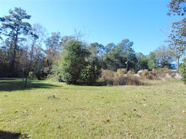 TOWN OF DEFUNIAK SPRINGS - Residential