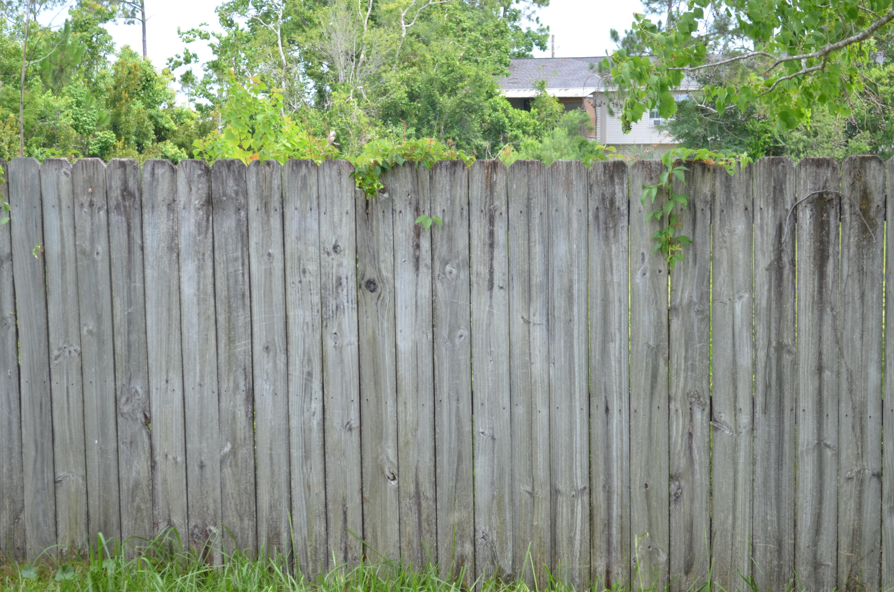 FOREST OAKS PH 1 - Residential