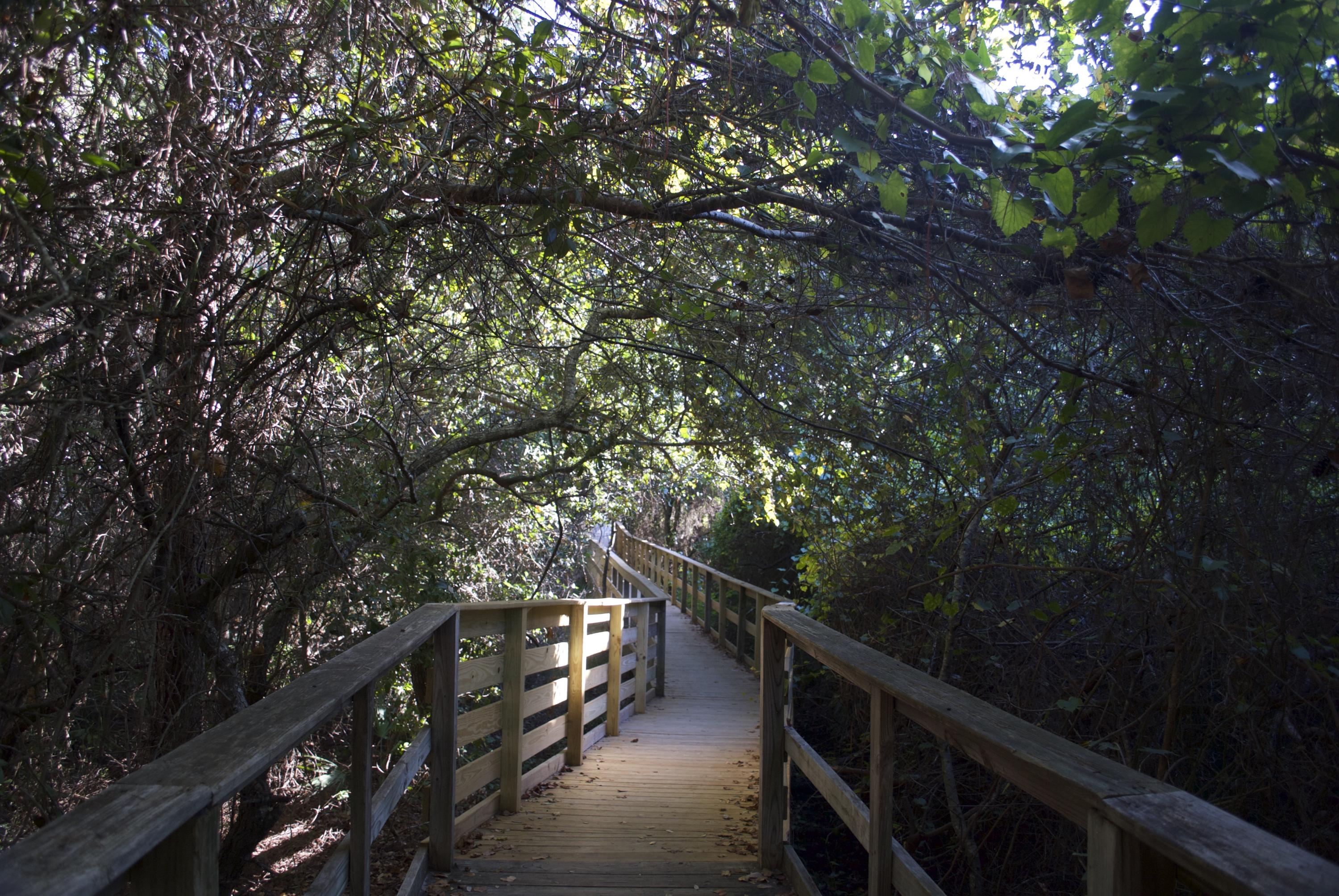 THE PRESERVE AT GRAYTON BEACH - Land