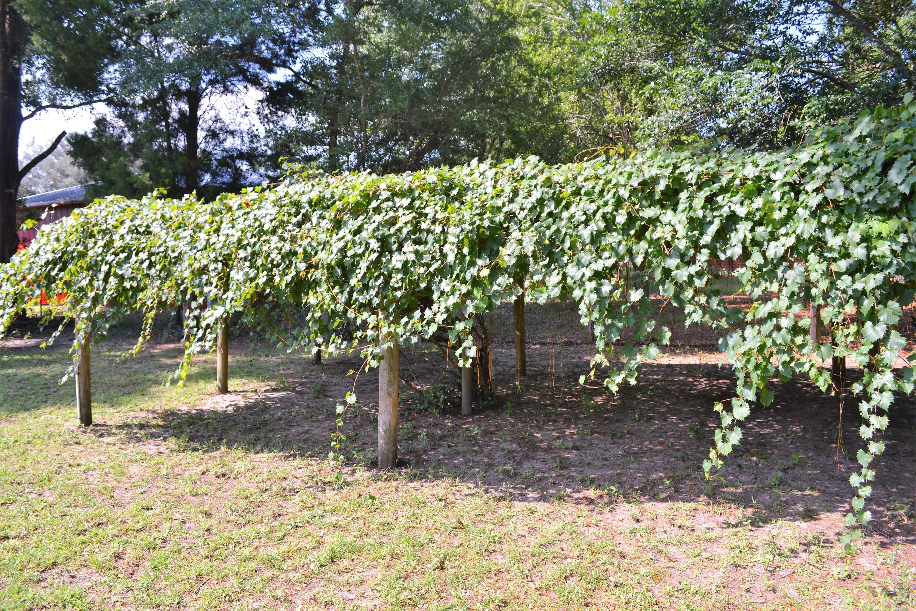 VALPARAISO PLAT 16 - Residential