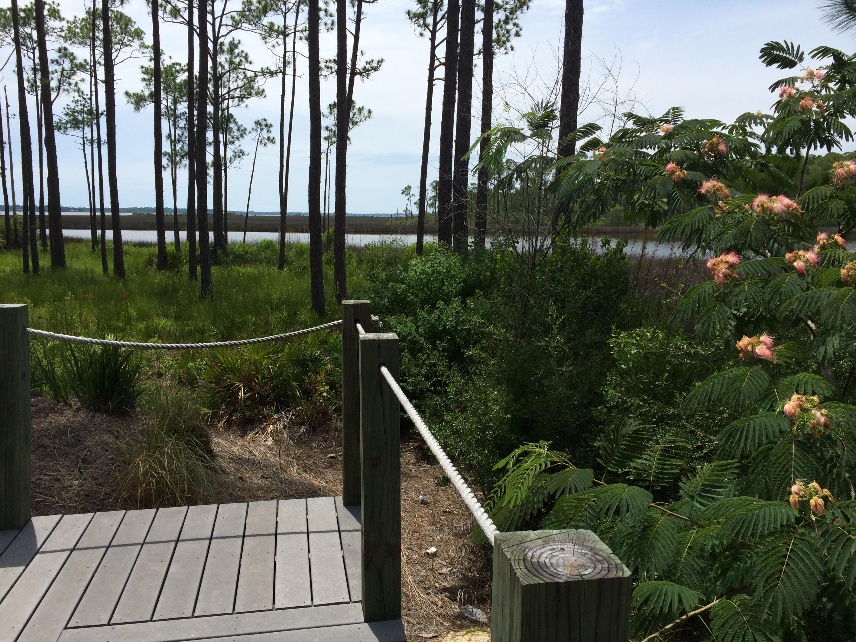 Cessna Landing - Land