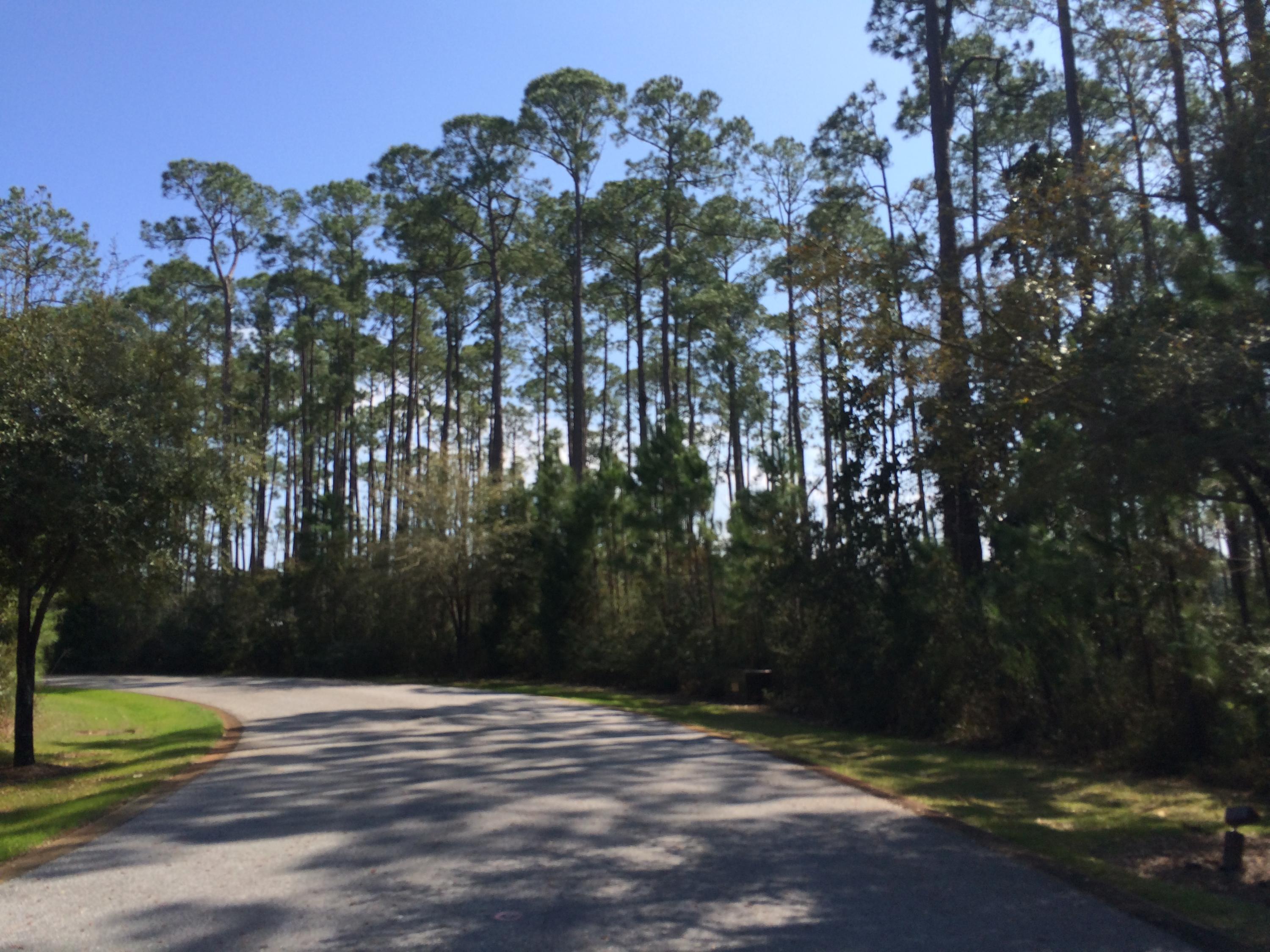 Cessna Landing - Land