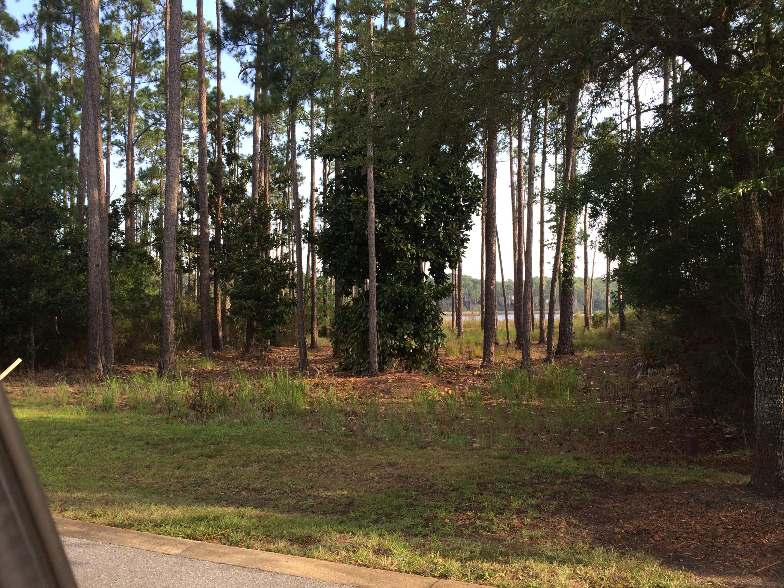 Cessna Landing - Land