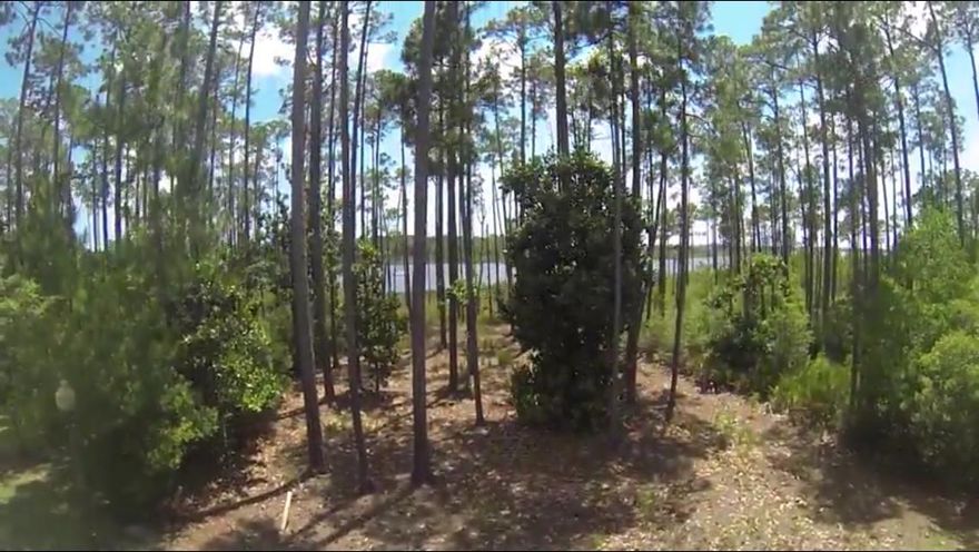 This beautiful .0374 semi-cleared acre waterfront lot with magnolias and amazing water views of the bayou surrounding this community awaits your new home, you can build at a minimum of 2200 sf ft.+ (waterfront requirements) in the secure and double gated waterfront neighborhood. The approximate 71' frontage by 290'' deep with 67' of water frontage, this residential lot is mouth of Hogtown Bayou, in which boasts a surrounding Bayou waterfront among it's community pool too. You can access the bay right from the community dock and fishing pier or from one of two nearby boat ramps (Charles E. Cessna public park, and another deep water ramp at the end of 393 North). This community is truly your own private playground.. swim, fish, kayak or go boating.