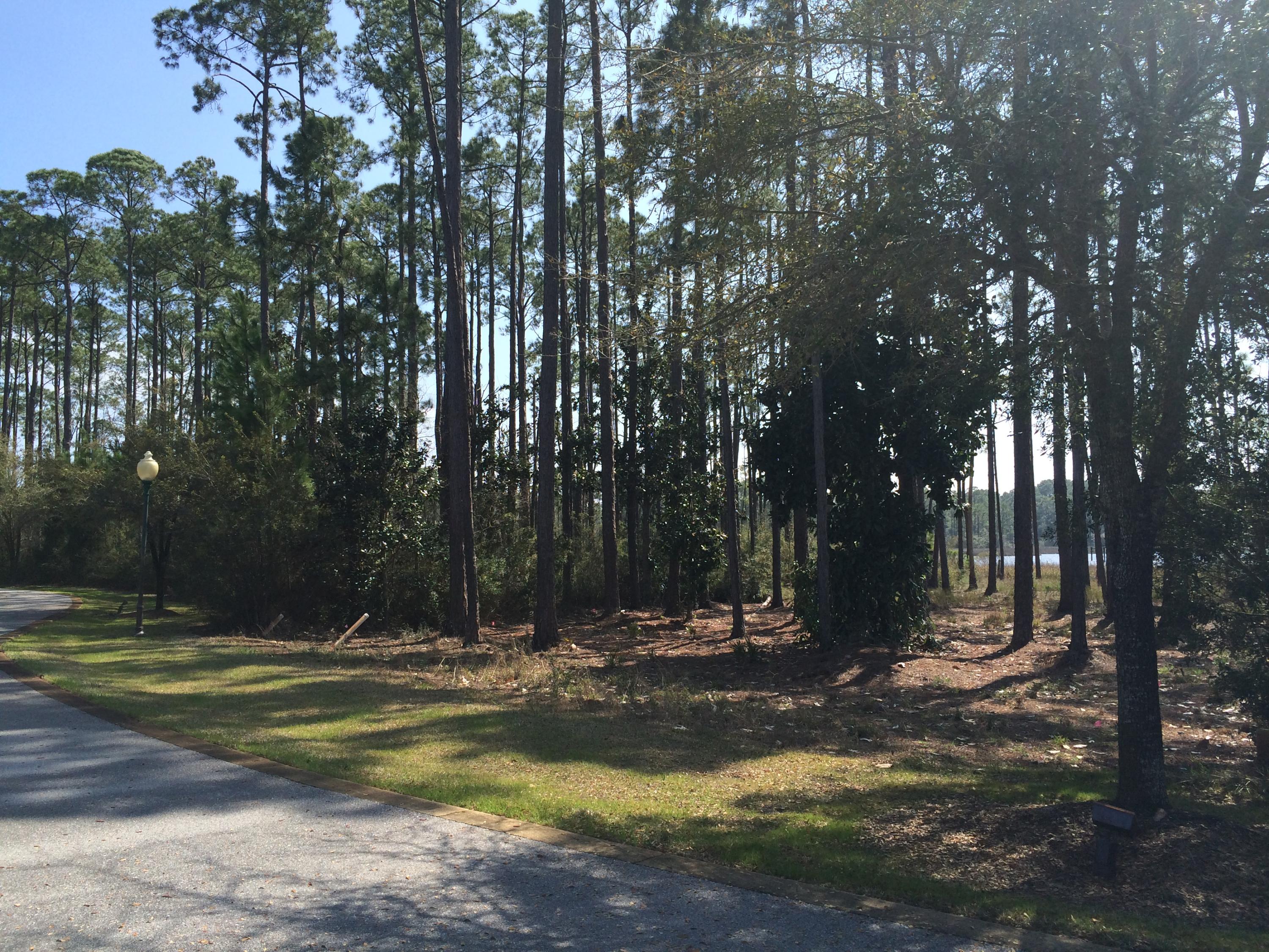 Cessna Landing - Land