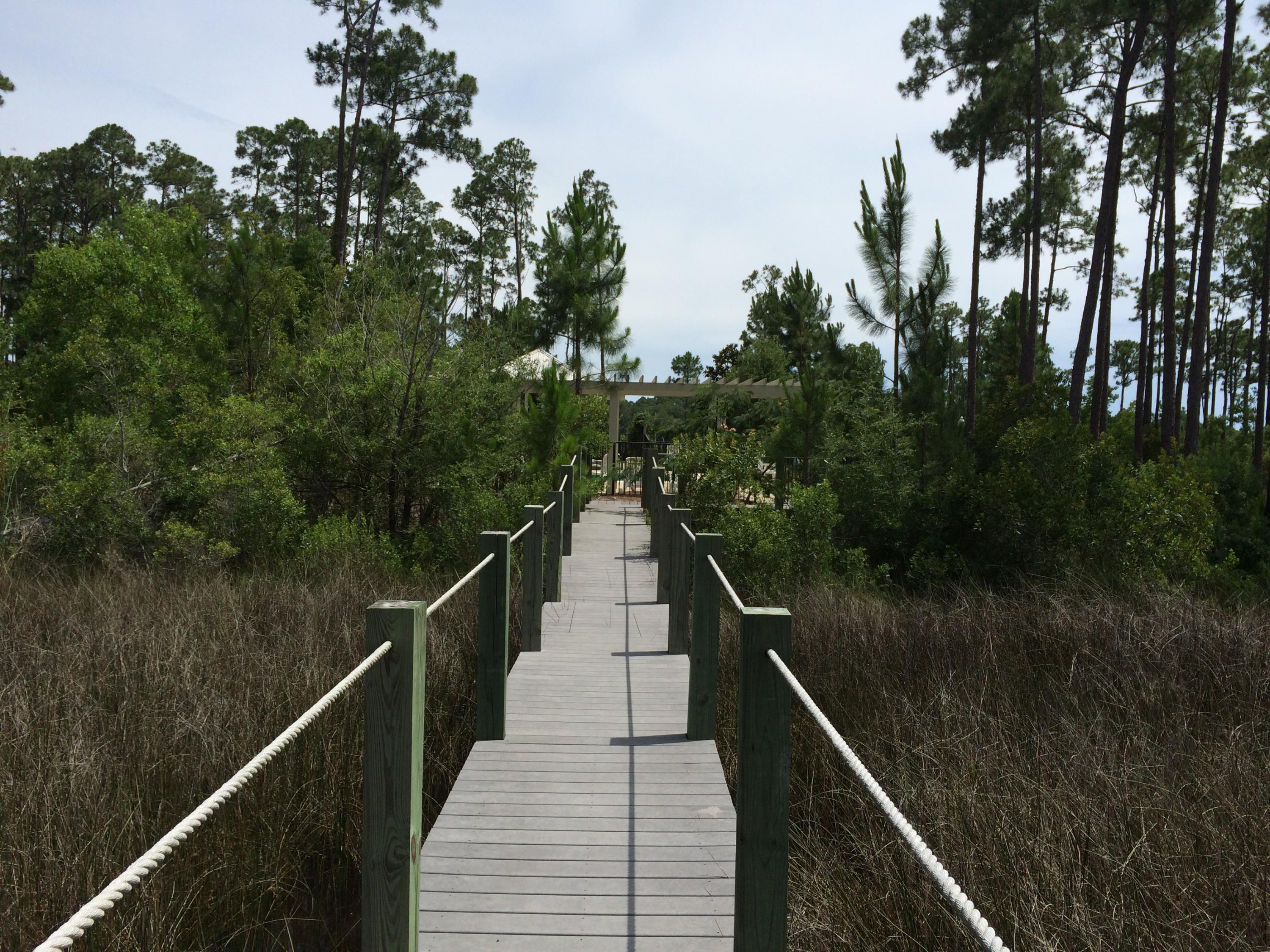 Cessna Landing - Land