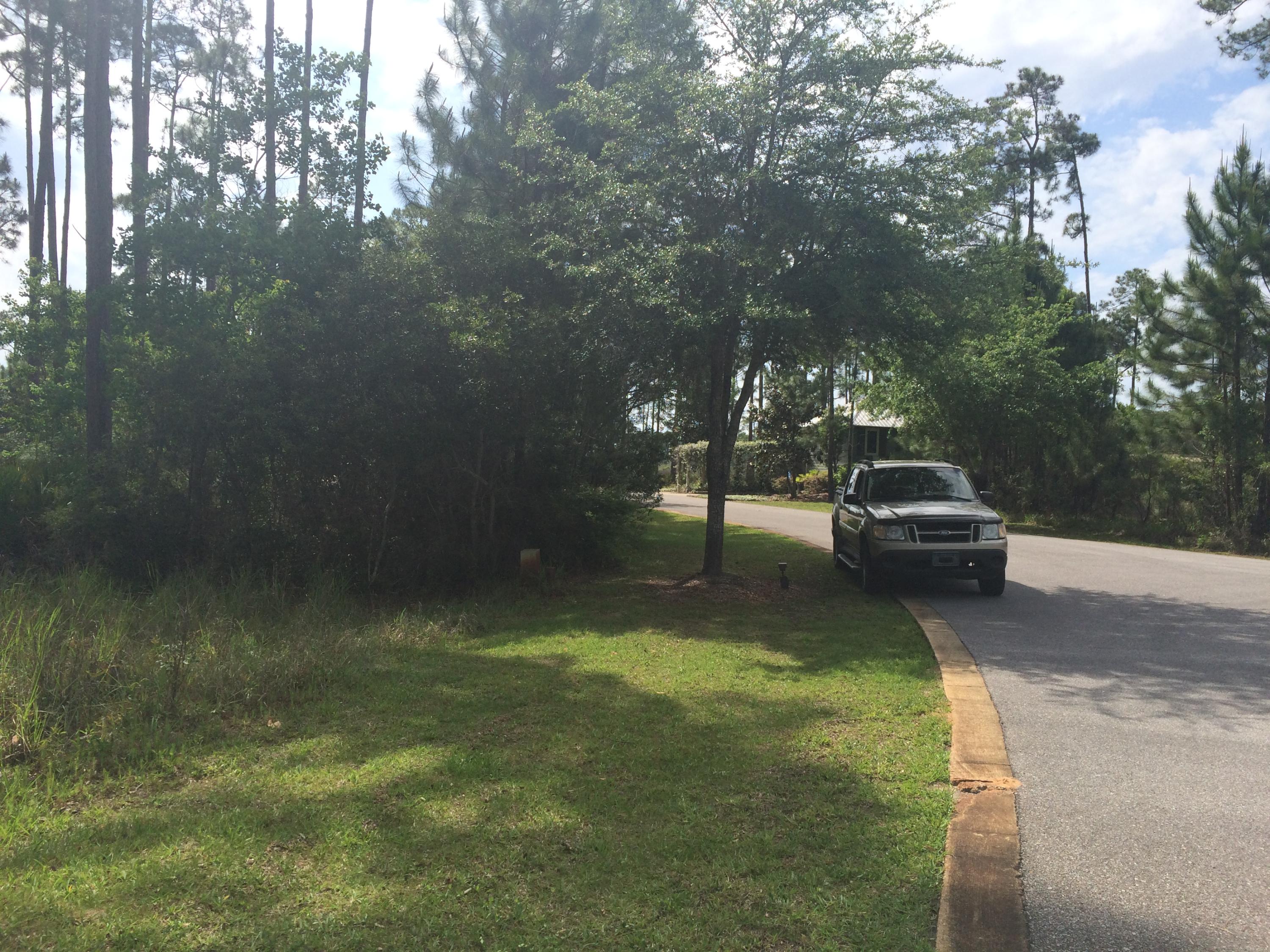 Cessna Landing - Land