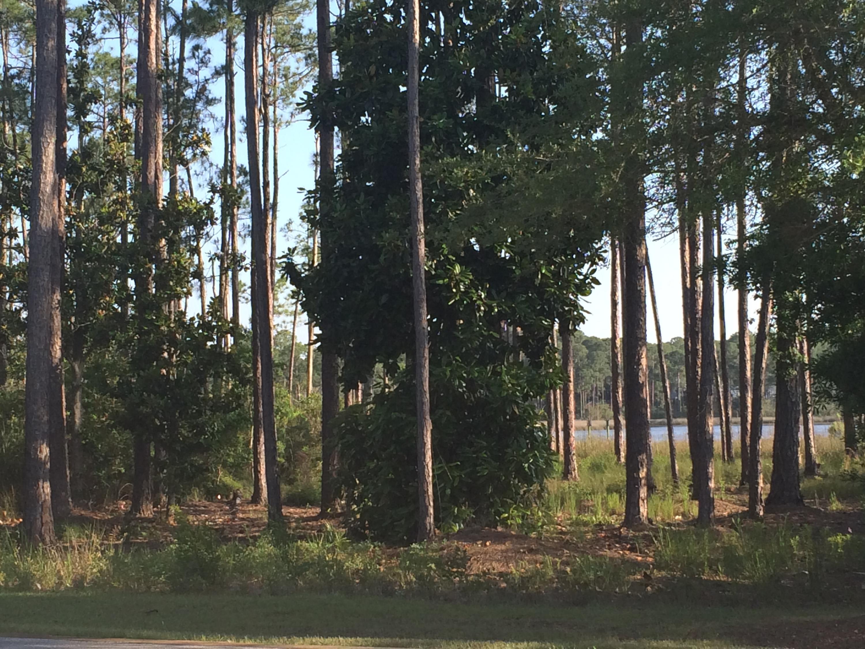 Cessna Landing - Land