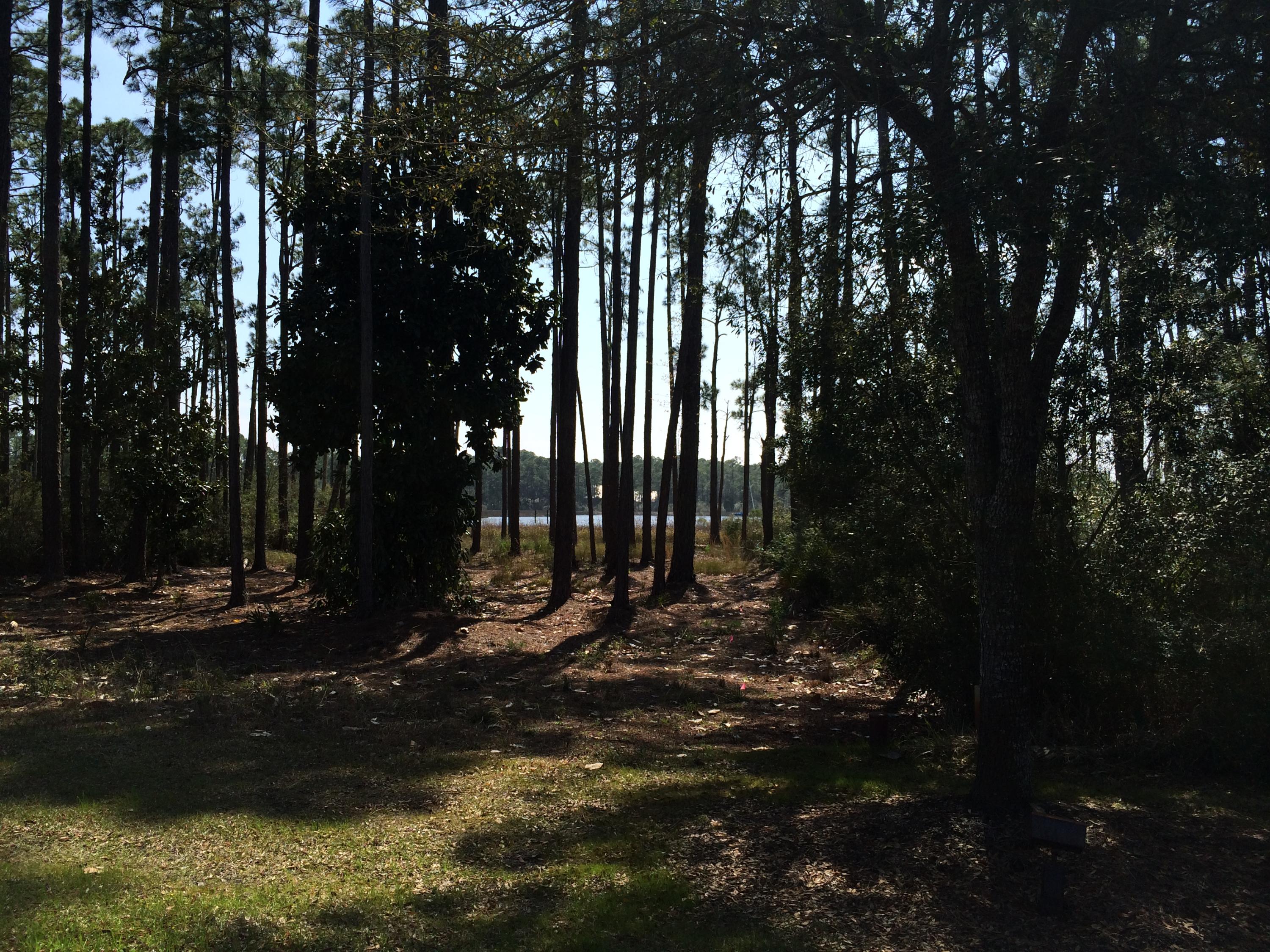 Cessna Landing - Land