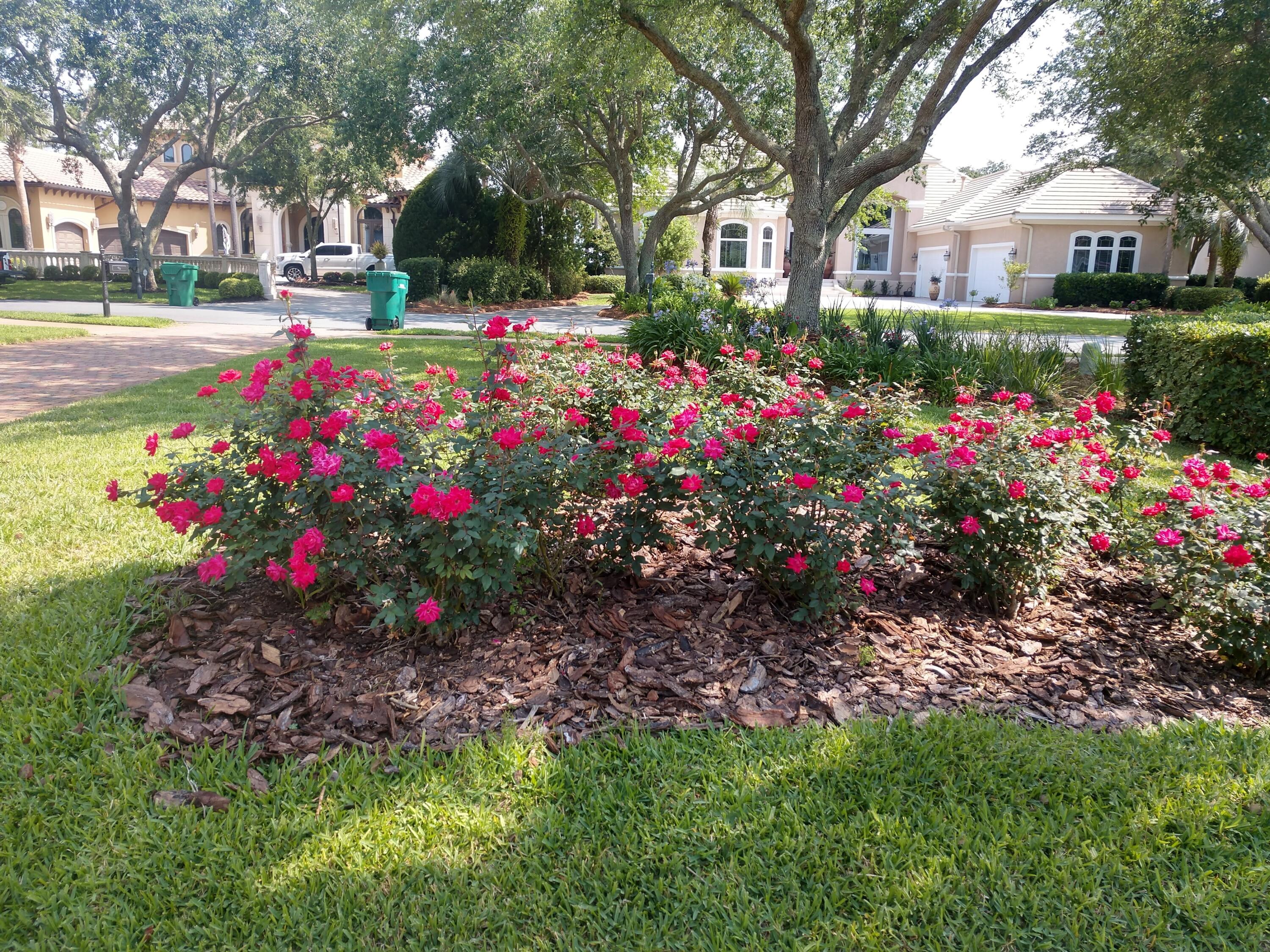 Regatta Bay - Residential