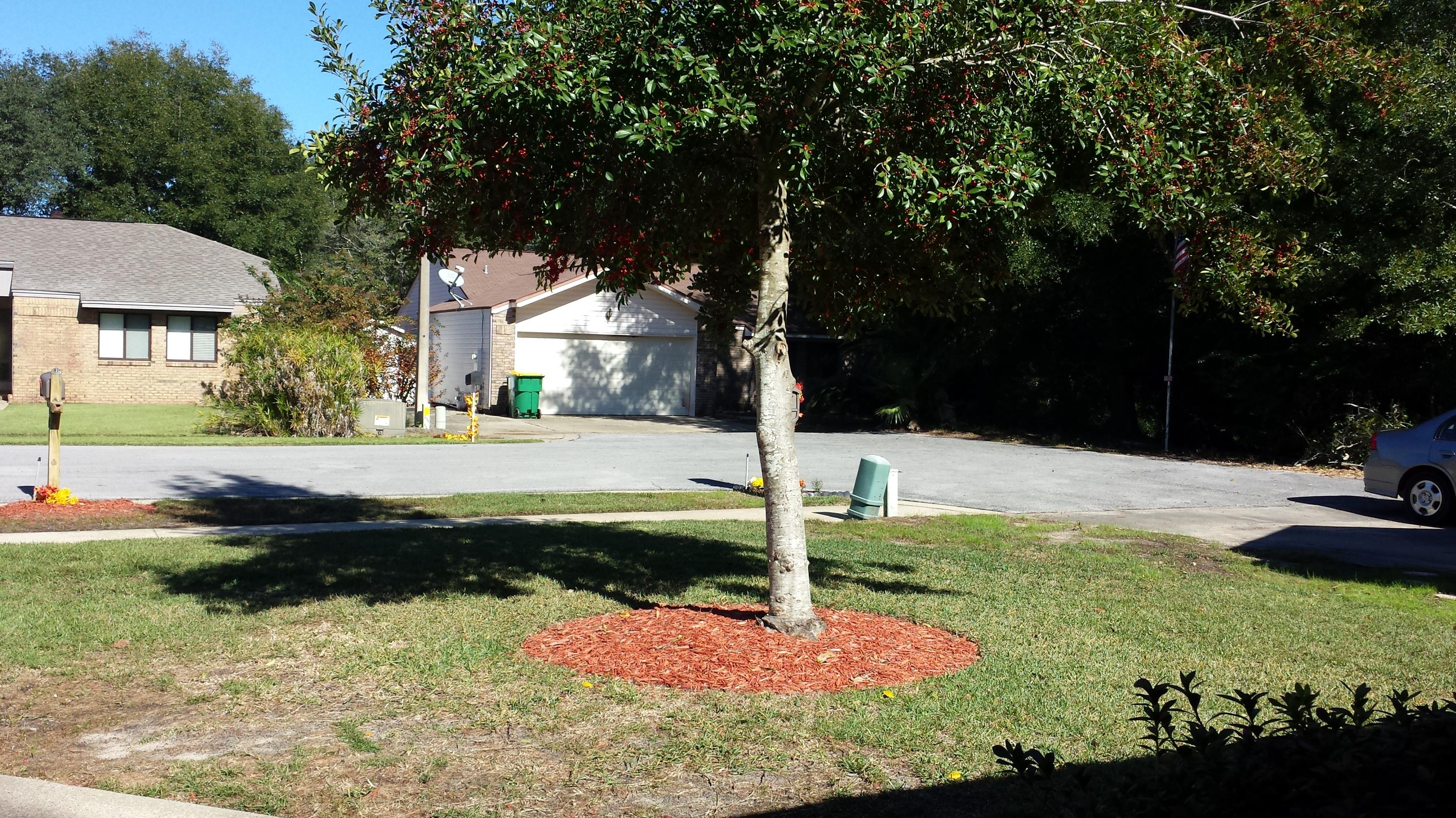 CEDAR RIDGE PH 2 - Residential