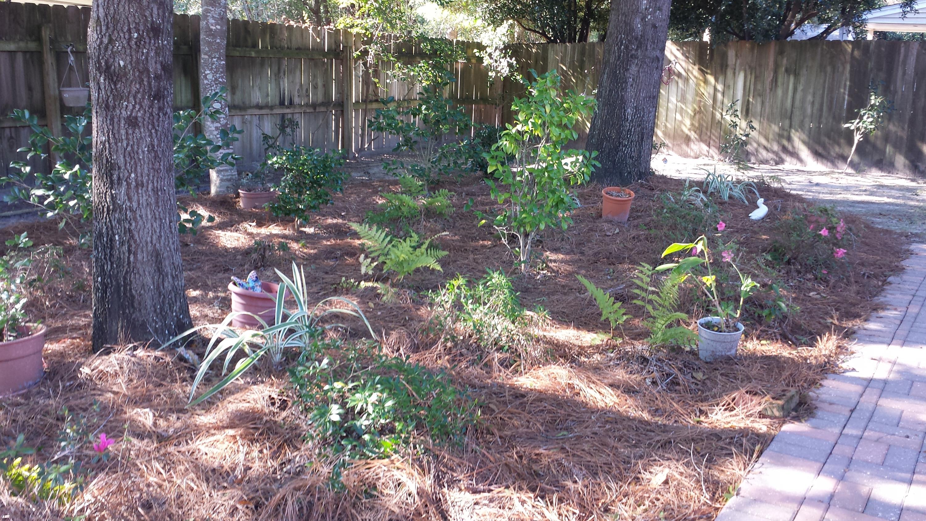 CEDAR RIDGE PH 2 - Residential