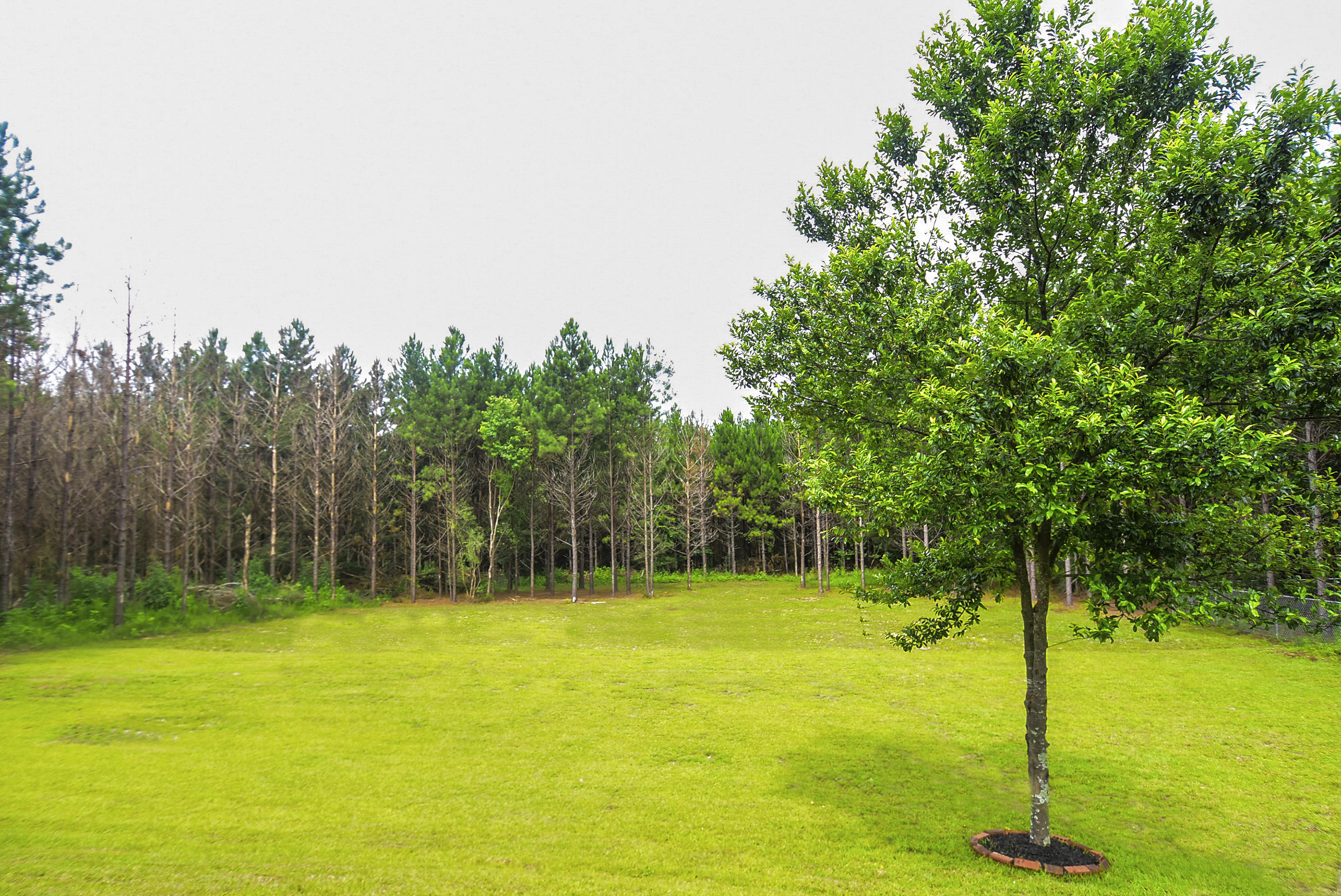 Yellow River Plantation - Residential