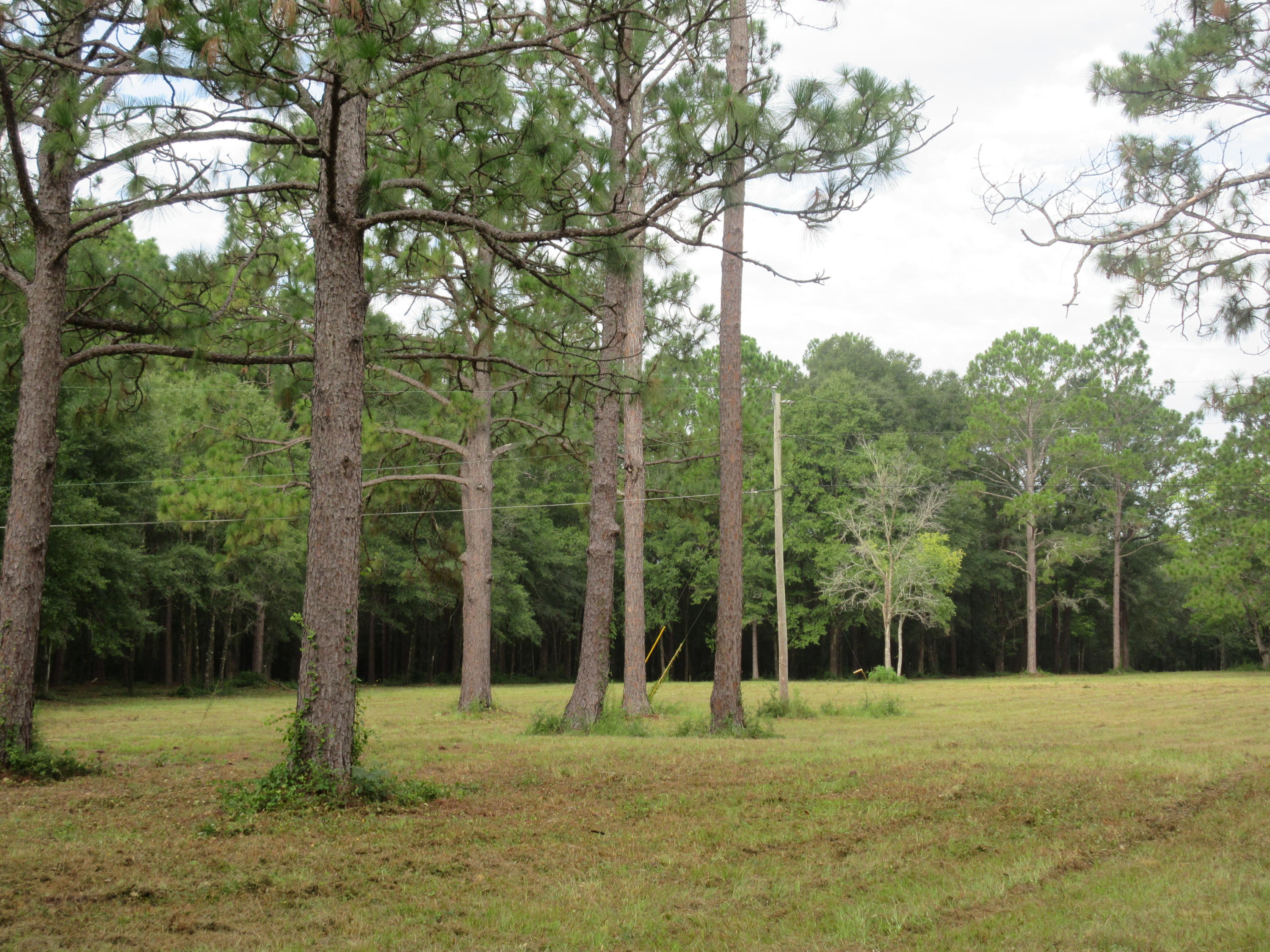 LOCATION LOCATION LOCATION 4.57 landscaped acres just North of Defuniak Springs. Close to amenities! One of the nicest 4.57 acre parcels to come on the market in a long time. Perfect spot to build a home! Better hurry. this 4.57 acre parcel will not be on the market very long!!