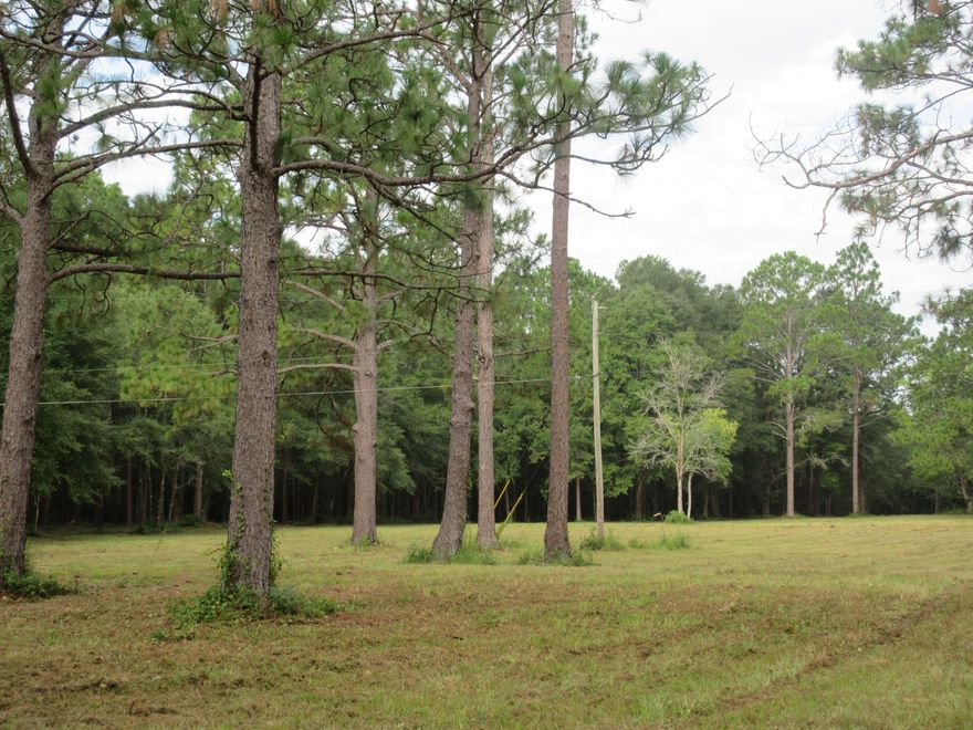 LOCATION LOCATION LOCATION 4.57 landscaped acres just North of Defuniak Springs.  Close to amenities!   One of the nicest 4.57 acre  parcels to come on the market in a long time. Perfect spot to build a home!   Better hurry.   this 4.57  acre parcel will not be on the  market very long!!