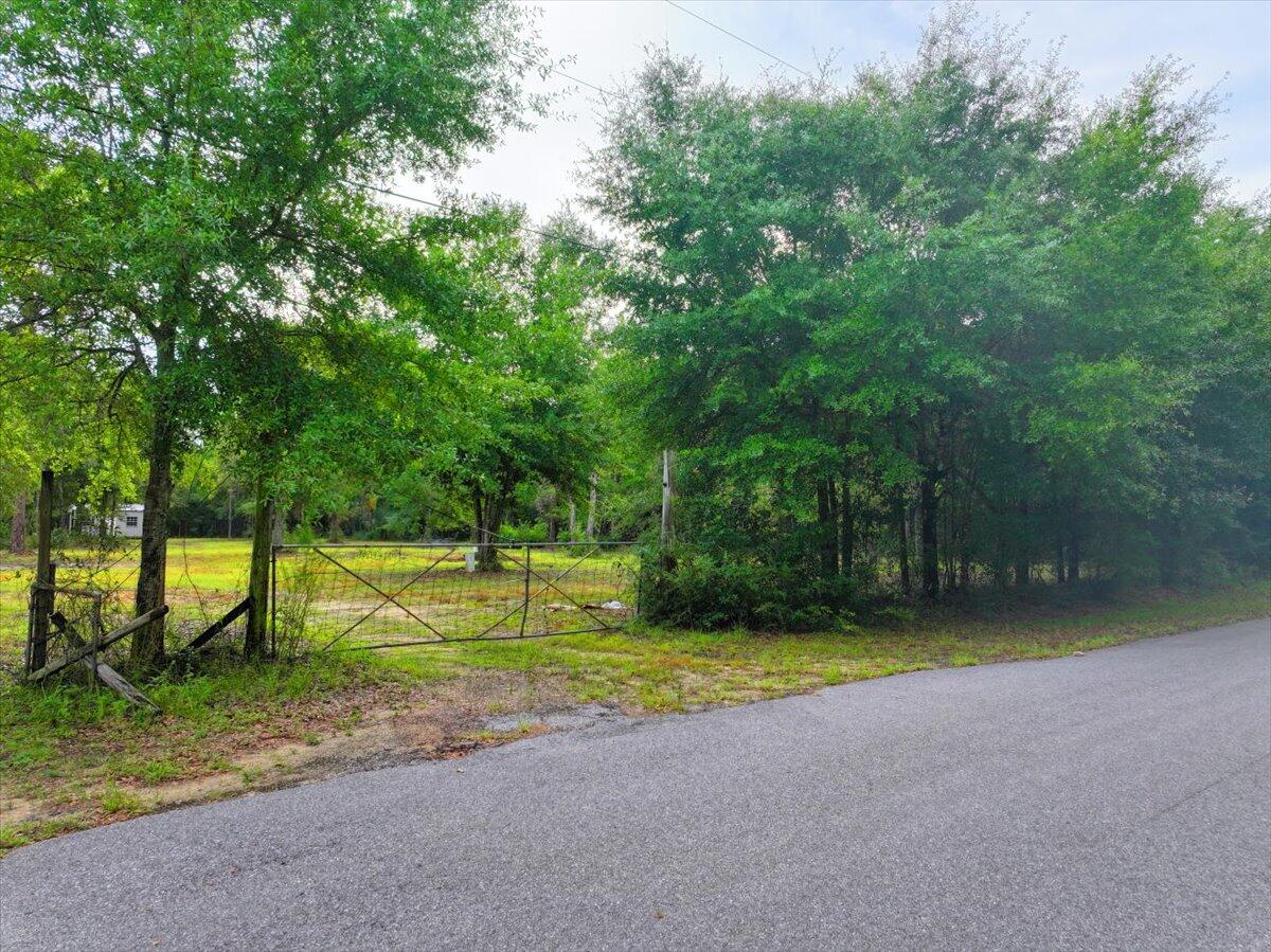 Hickory Hammock Estates - Land