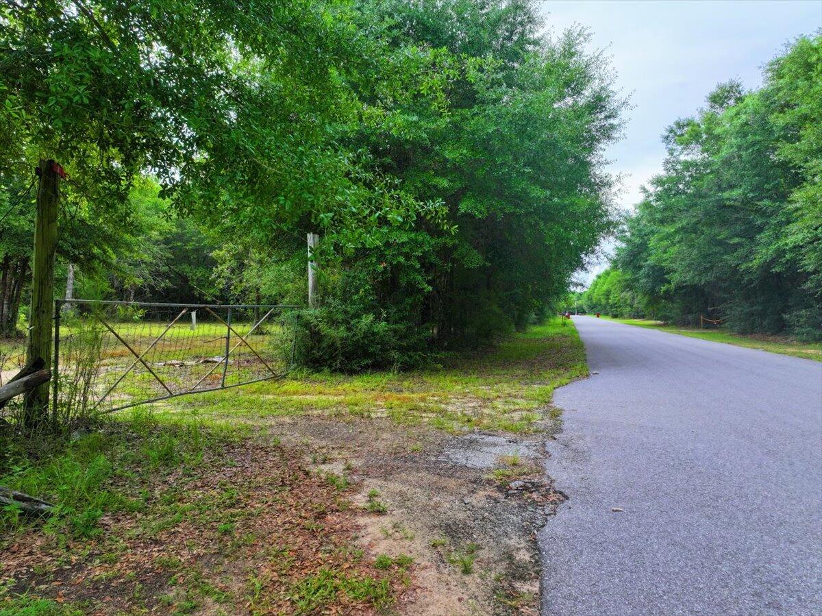Hickory Hammock Estates - Land