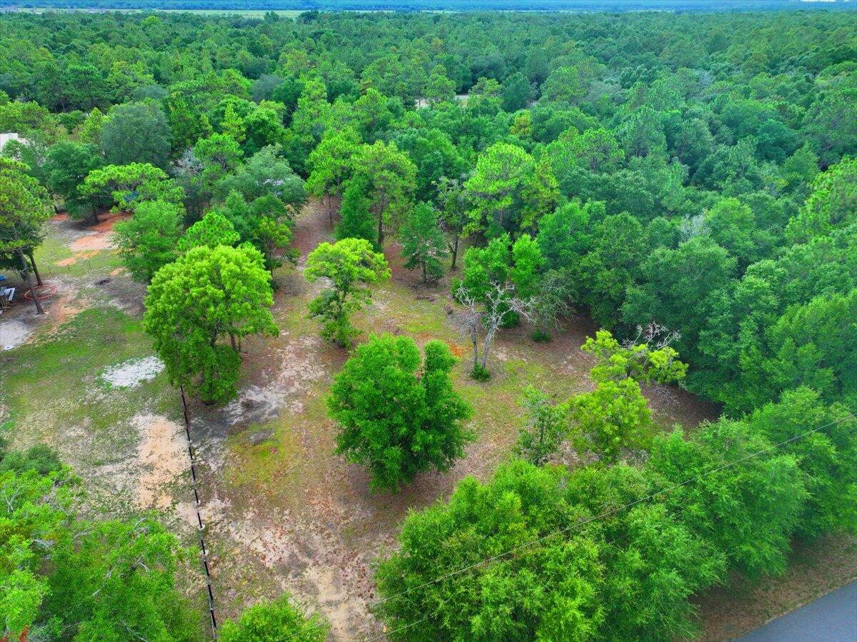 Hickory Hammock Estates - Land