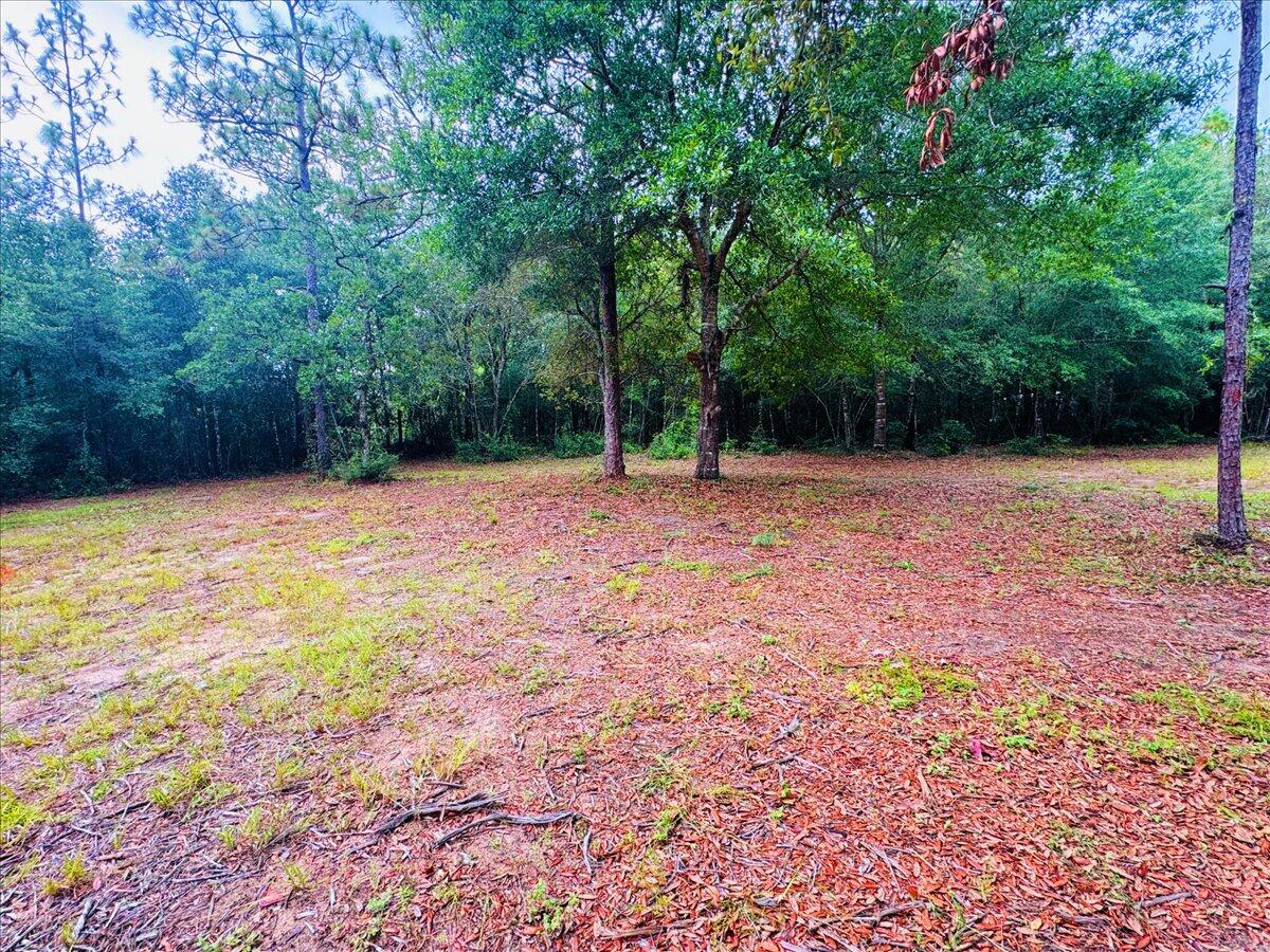 Hickory Hammock Estates - Land