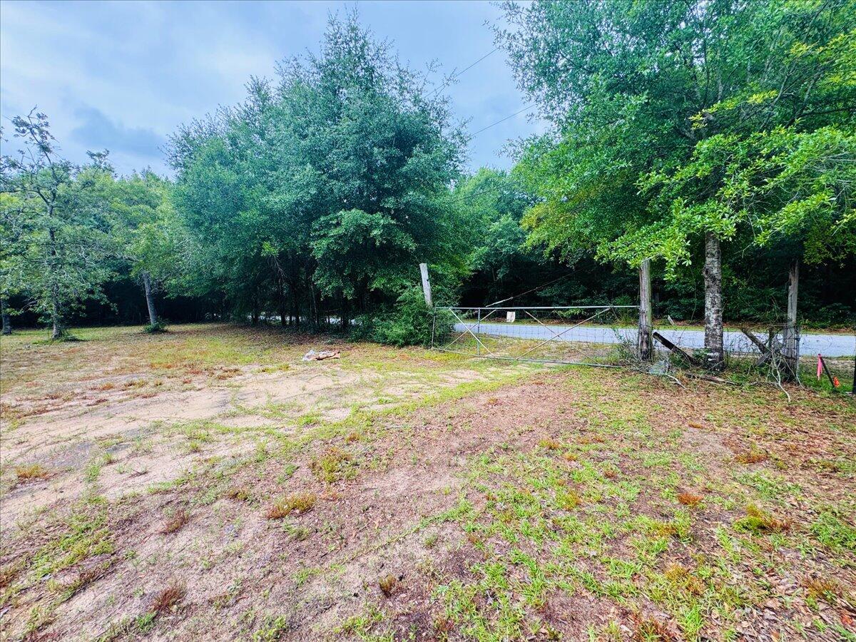 Hickory Hammock Estates - Land